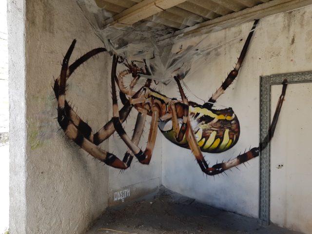 Spider. By Sérgio Odeith