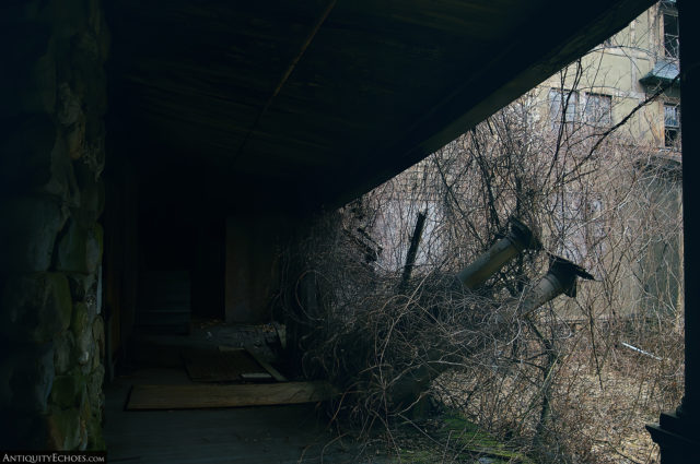 A fallen tree lying outside a building