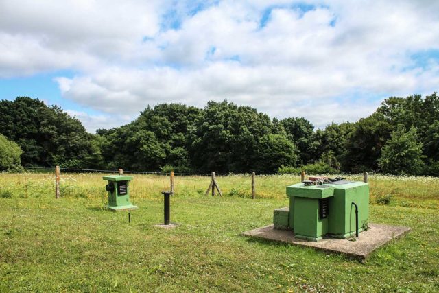 Grassy field with green blocks coming out of the ground