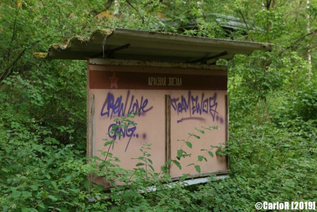 Blank exterior sign with graffiti on it, surrounded by forest vegetation