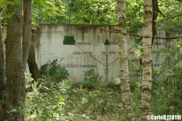 Exterior cement wall with writing on it, surrounded by forest vegetation