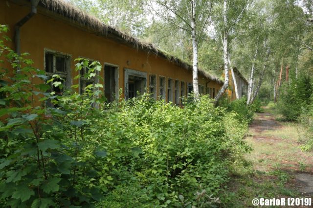 Exterior of Forst Zinna blocked by forest vegetation