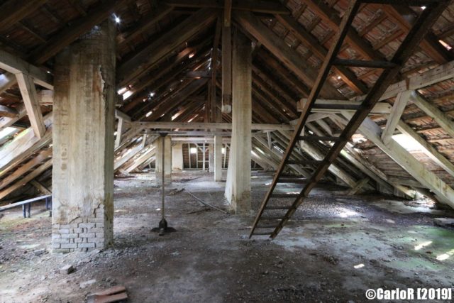 Empty attic with a ladder leading to a second storey