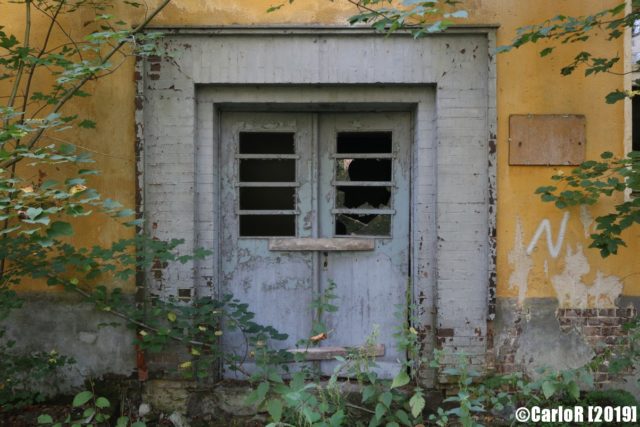 Closed double doors surrounded by forest vegetation