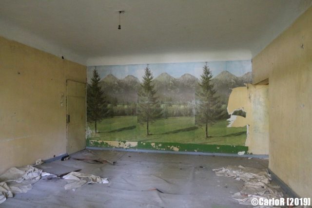 Forest mural on the far wall of a yellow-colored room