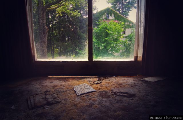 Looking out a window to the greenery outside of the Nevele Grand Resort