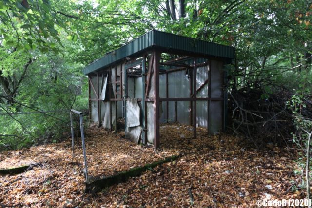 Derelict building surrounded by trees