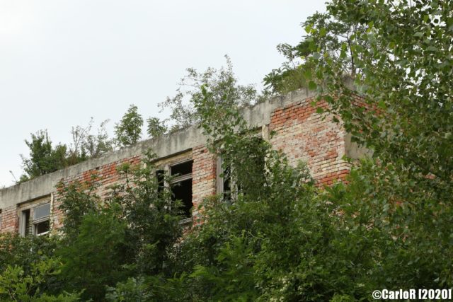 Brick building blocked by trees