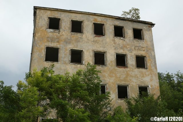 Concrete building surrounded by shrubs