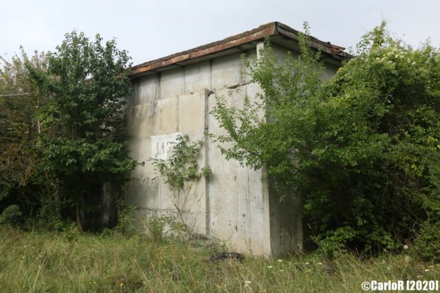 Concrete building exterior surrounded by bushes