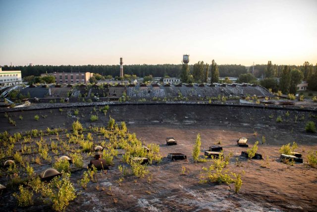 Panorama of a field at sunset