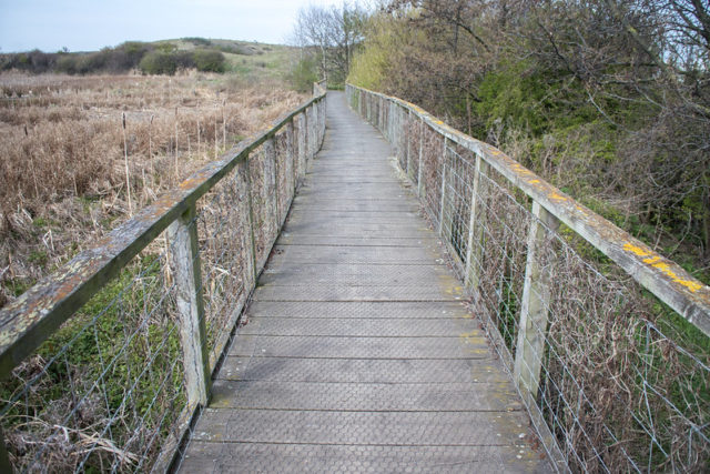 Wooden walkway