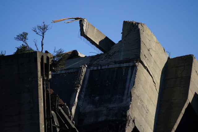 Concrete rubble with dead trees in the background