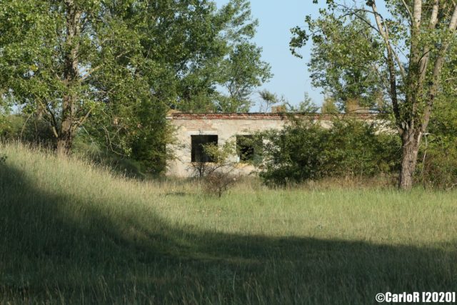 Concrete building blocked by bushes and a small hill