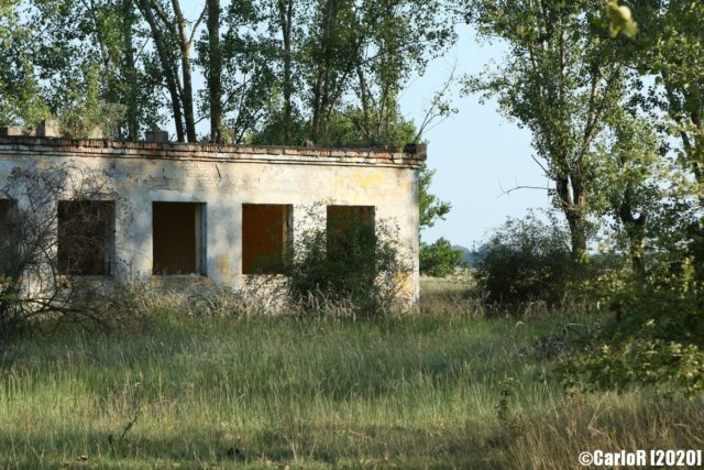 Concrete building amongst trees