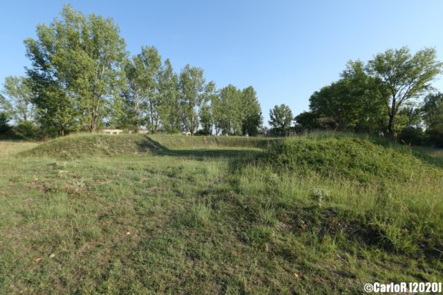 Gassy area surrounded by trees at Kalocsa Airfield