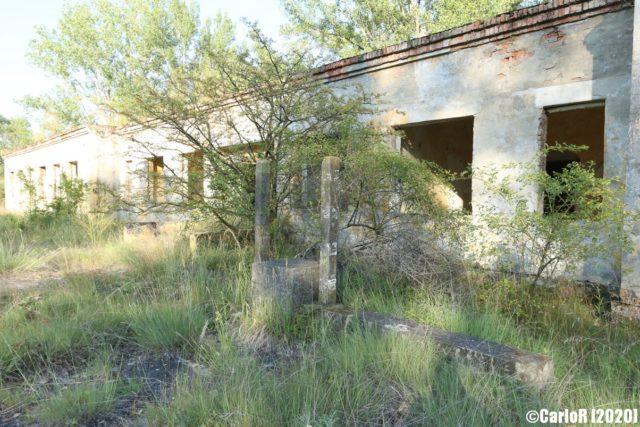 Concrete building blocked by a small tree