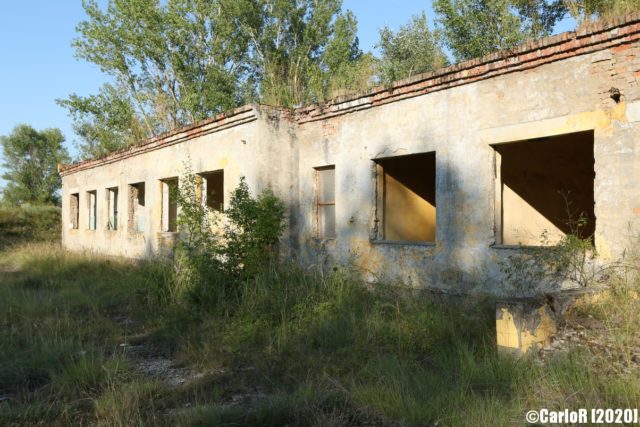 Concrete building covered by bushes