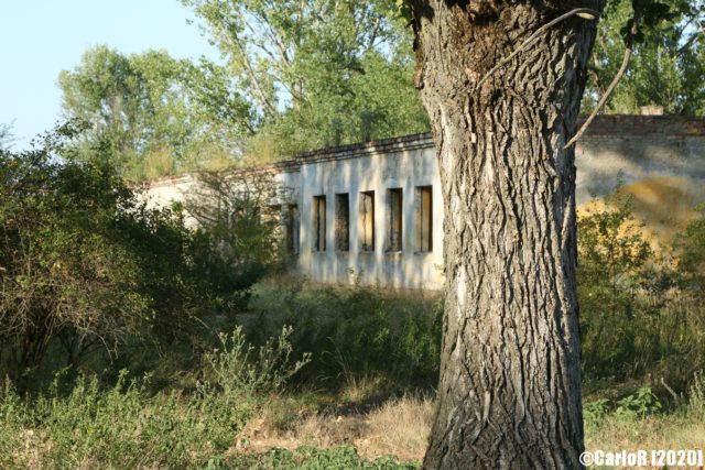 Concrete building with a tree in front