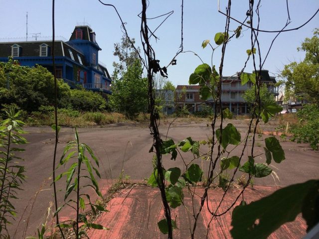 View of Nara Dreamland through tree branches