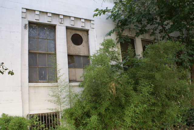 Two windows partially covered by brush