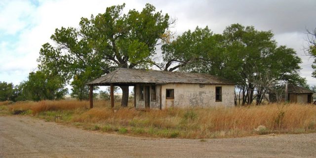 Abandoned service station in tall grass