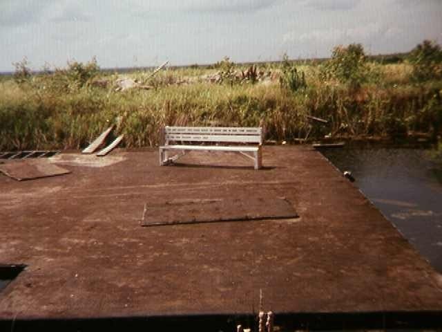 Bench placed near tall grass