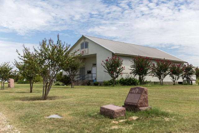 Church surrounded by small trees