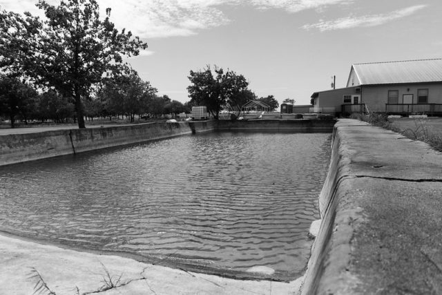 Swimming pool filled with water