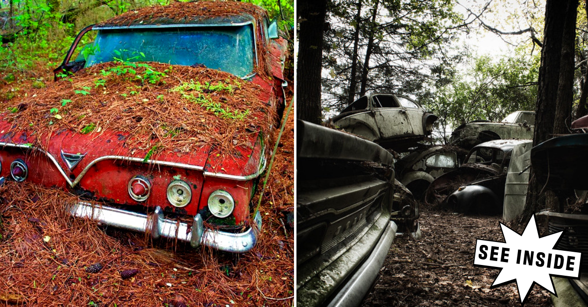 Old Car City Where Nature Reclaimed Thousands of Vintage Vehicles