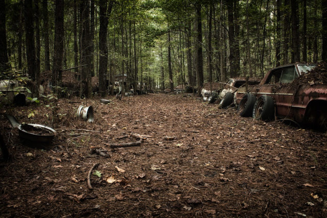 Forest trail bordered by old cars