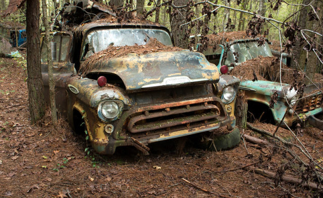 Rusty truck in the woods