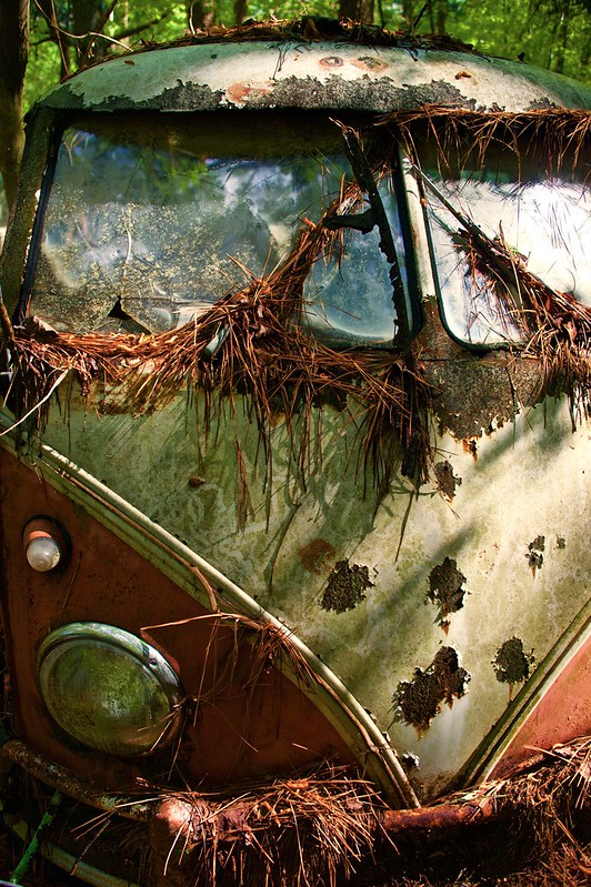 Volkswagon van covered in brown pine needles