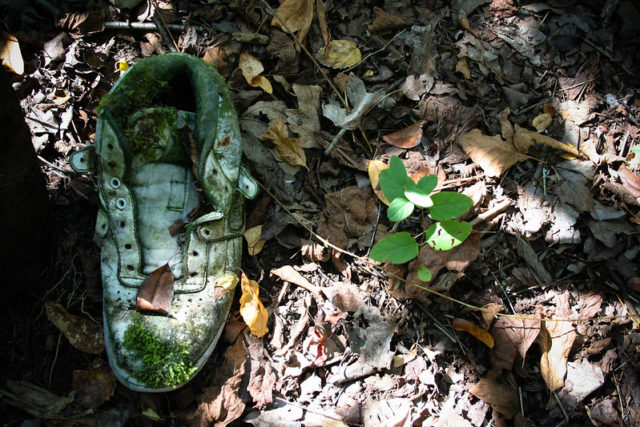 Old shoe covered in dead leaves