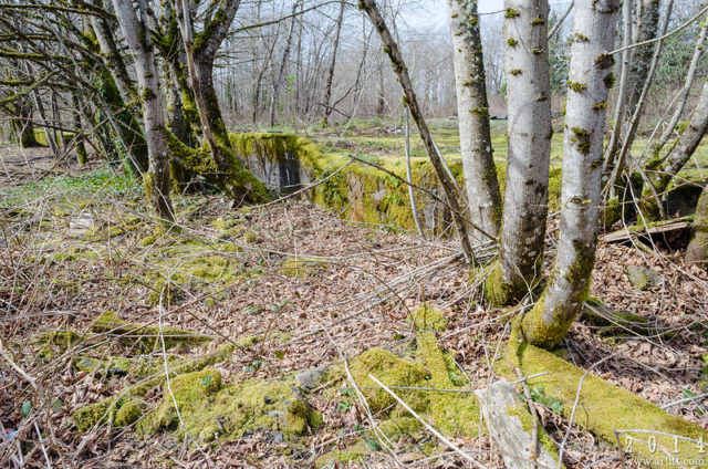 Vegetation-covered building foundations