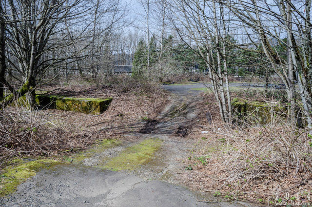 Vegetation-covered building foundations