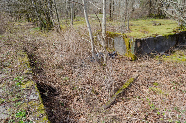 Vegetation-covered building foundations