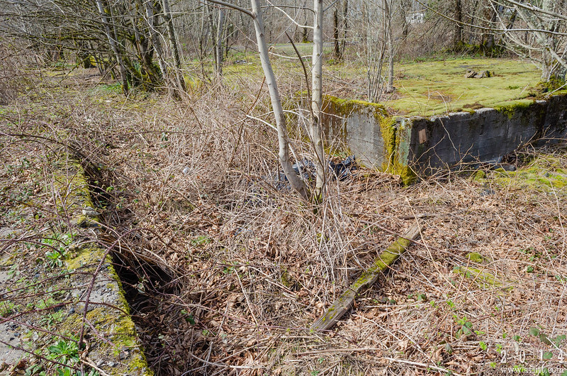 Bridal Veil, Oregon The Ghost Town Brides Love