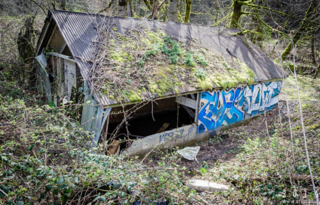 Graffiti-covered derelict building