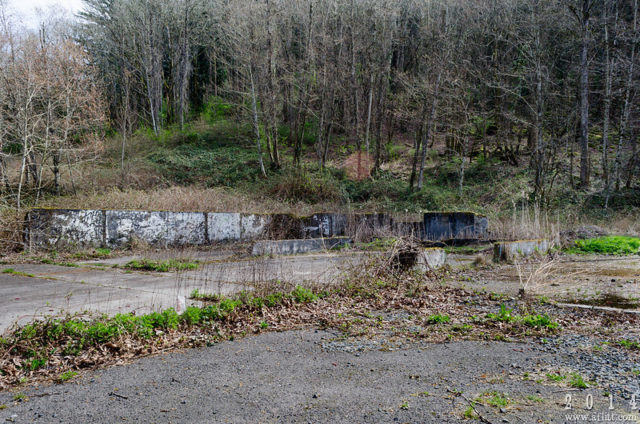 Building ruins surrounded by vegetation