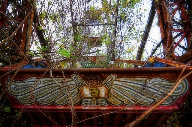 Amusement park ride covered in vines and branches