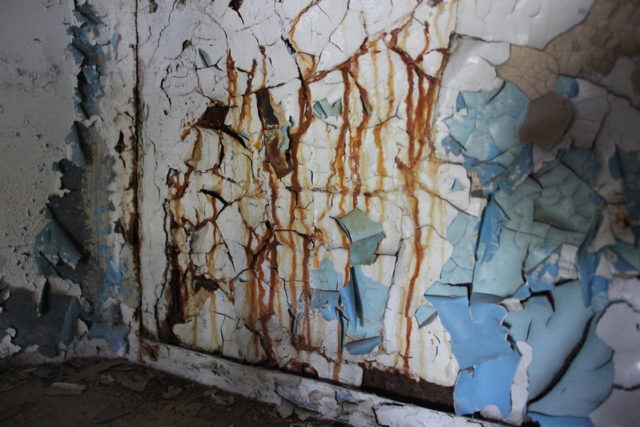 Paint peeling from a wall