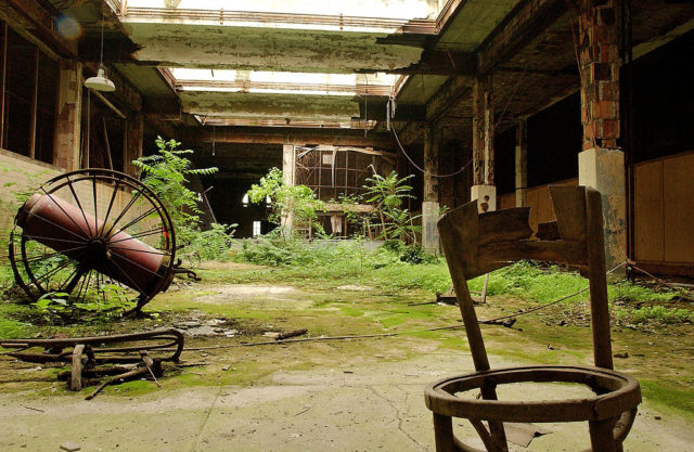 Chair in the middle of an overgrown atrium
