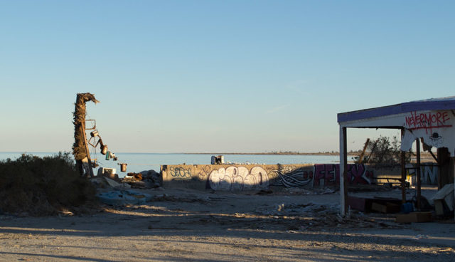 Sculpture at Salton Sea 