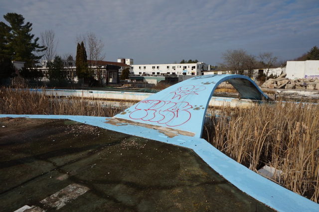 Outdoor pool filled with vegetation