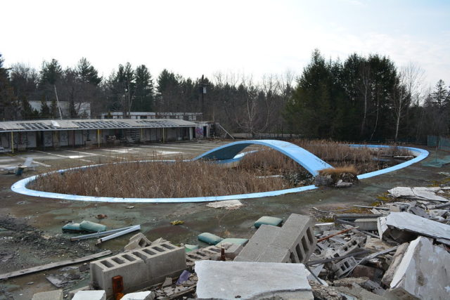 Pool filled with vegetation