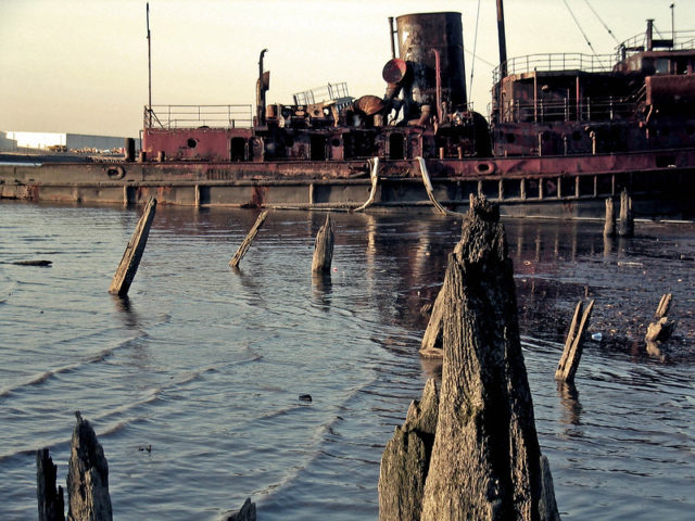 Wooden posts poking out of the water