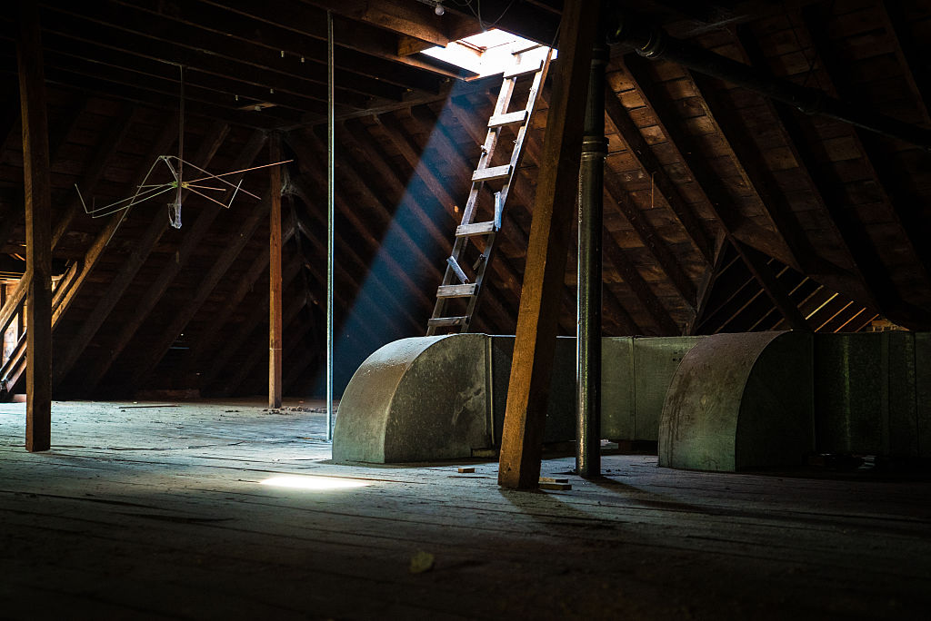 The Dark History of the Stonewall Jackson Youth Development Center