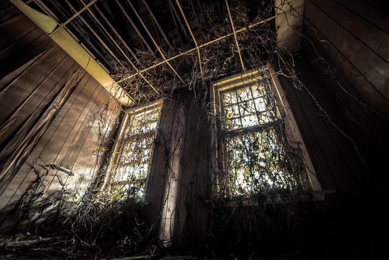 The Dark History of the Stonewall Jackson Youth Development Center