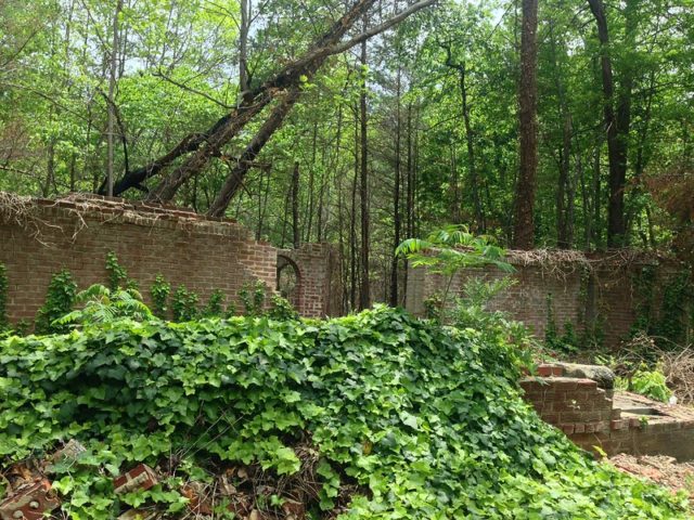 Ruins of Corpsewood Manor